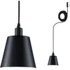 Image de Paulmann Plug & Shine Lampe suspendue Kofia