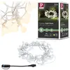 Image de Paulmann Plug & Shine LED Lichterkette Warmweiß