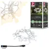 Image de Paulmann Plug & Shine LED Lichterkette Warmweiß