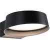 Image de Paulmann LED Applique murale d'extérieur Capea Grand