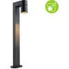 Image de Paulmann LED Borne d'éclairage Kimu respectueuse des insectes
