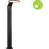 Image de Paulmann LED Borne d'éclairage Zenera respectueuse des insectes