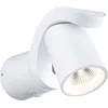 Image de Paulmann LED Applique murale d'extérieur Cuff Détecteur de mouvement àcrépusculaire (IR)