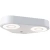 Image de Paulmann LED Applique murale d'extérieur Silma Détecteur de mouvement àcrépusculaire (IR) Double sortie de lumière