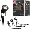 Image de Projecteur de jardin Paulmann LED