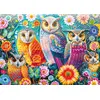 Image de Schmidt Spiele, "Hiboux et Fleurs", puzzle (1000 pièces)