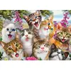 Image de Schmidt Jeux Schmidt Jeux Puzzle : Chats Selfie 500 pièces