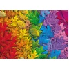 Image de SCHMIDT Puzzle Feuilles colorées 1500 pièces