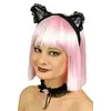 Image de Set  de Chat Noir