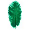 Image de Lot de 5 Plumes d'Autruche Spadona 50cm, Vert
