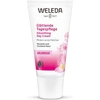 Image de Crème de jour Weleda Rosa Mosqueta (30 ml)