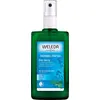 Image de Déodorant corporel Weleda Sauge naturelle en spray Parfum naturel épicé