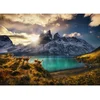 Image de Heye - Guanacos standard 1000 pièces