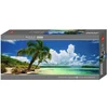 Image de Paradise Palm