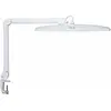 Image de MAUL Lampe de table MAULexplore LED 6.500 K dimmable Pied à pince blanc