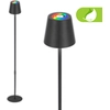 Image de Briloner Coloris RGBW LED Lampadaire sans fil, variateur, tactile, recharge USB-C, sans fil, anthracite, 133 x Ø20,8 cm