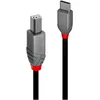Image de LINDY 1m USB 2.0 Typ C an B Kabel, Anthra Line