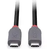 Image de Lindy 0.8m USB 4 Type C Cable Anthra Line - Câble - Numérique/Données