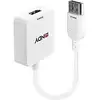 Image de Konverter Hdmi Auf Displayport Bis 4k 3840x2160 Hdmi - Lindy