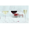 Image de Spiegelau 4720172 Verre à vin blanc Salute, verre en cristal, 465 ml, transparent (pack de 4)