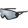 Image de ALPINA Lunettes de soleil 5W1NG, noir