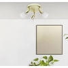 Image de BRILLIANT Spotrondell Sofia | Spot de plafond | métal/verre | laiton/blanc | têtes pivotantes | 3 flammes | 3x E14 max. 40 W