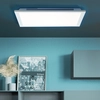 Image de BRILLIANT ALLIE LED Plafonnier apparent Métal Plastique Blanc G96946/05 avec télécommande