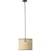 Image de Lampe Wiley Suspension Lumineuse 30cm Rotin 1x A60, E27, 60w, Adapté Aux Lampes Standard (non Incluses) Échelle A ++ À E Le Câble Peut Être Raccourci - Brilliant