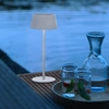 Image de BRILLIANT Lampe d'extérieur blanche Picco | rechargeable par USB + solaire | 3 niveaux de luminosité | métal/plastique