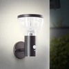 Image de BRILLIANT Applique murale extérieure solaire noire TULIP | incl. détecteur de mouvement | 3W 430 lm 3000 K | Acier inoxydable/plastique