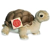 Image de Tortue, environ 20 cm, 1pc