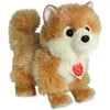 Image de Teddy-Hermann Teddy Hermann Zwergspitz, 22 cm 919223