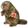 Image de Marmotte, environ 20 cm, 1 pièce