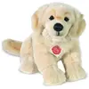 Image de Golden Retriever, 30 cm, peluche
