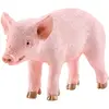 Image de Schleich 13783 - Porcelet - debout, Animal figurine de jeu