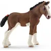 Image de Poulain Clydesdale
