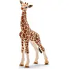Image de Bébé girafe