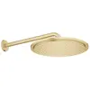 Image de GROHE Ensemble douche de tête et bras 380 mm, 1 jet - Cool Sunrise brossé - 26066GN1