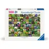 Image de 99 herbes et épices Ravensburger 12000073
