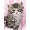Image de RAVENSBURGER Puzzle chaton 500 pièces