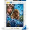 Image de Harry Potter à Poudlard Ravensburger 12000204