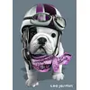 Image de Nathan Puzzle Téo Racing - 1000 pièces puzzle adulte