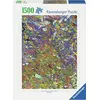 Image de Beaucoup de poissons colorés Ravensburger 12000436