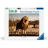 Image de Le lion. Le roi des animaux Ravensburger 12000733