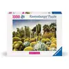 Image de Puzzle 1000 Pièces : Le Jardin Désertique de Huntington, USA - Ravensburger - Neuf