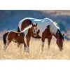 Image de Nathan Puzzle Jigsaw Mare and Her Foal - 1500 pièces chevaux