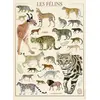 Image de Nathan Chats   Musée national d'histoire naturelle - 500 pièces