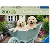 Image de Golden Retriever Ravensburger 12001368