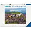 Image de Ravensburger Puzzle 12001751 - Wildpferde in der Heide (Chevaux sauvages dans la lande) - 2000 pièces Puzzle, pour les fans de chevaux à partir de 14 ans