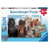 Image de Coffret 2 Puzzles Équestres de 24 Pièces avec Posters à Taille Réelle - Neuf